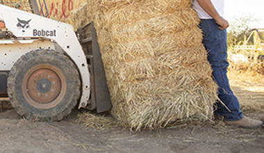 farmer leaning against hay bale