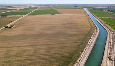 Fields with irrigation