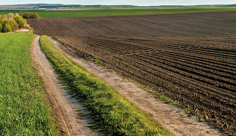 Farm plot with tire tracks by the side of it