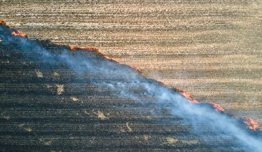 A wildfire burns through crops