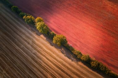 small red-zeppelin-95kmOHAy-3U-unsplash