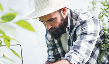 Man in white hat looking at peppers