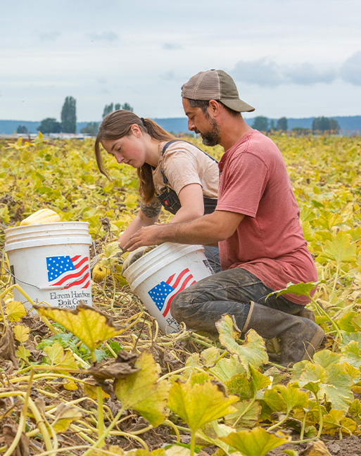 young farmers picking squash