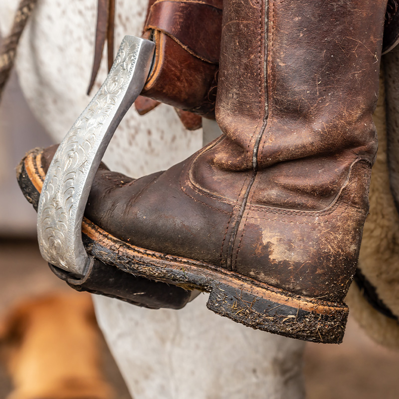 boot-stirrup