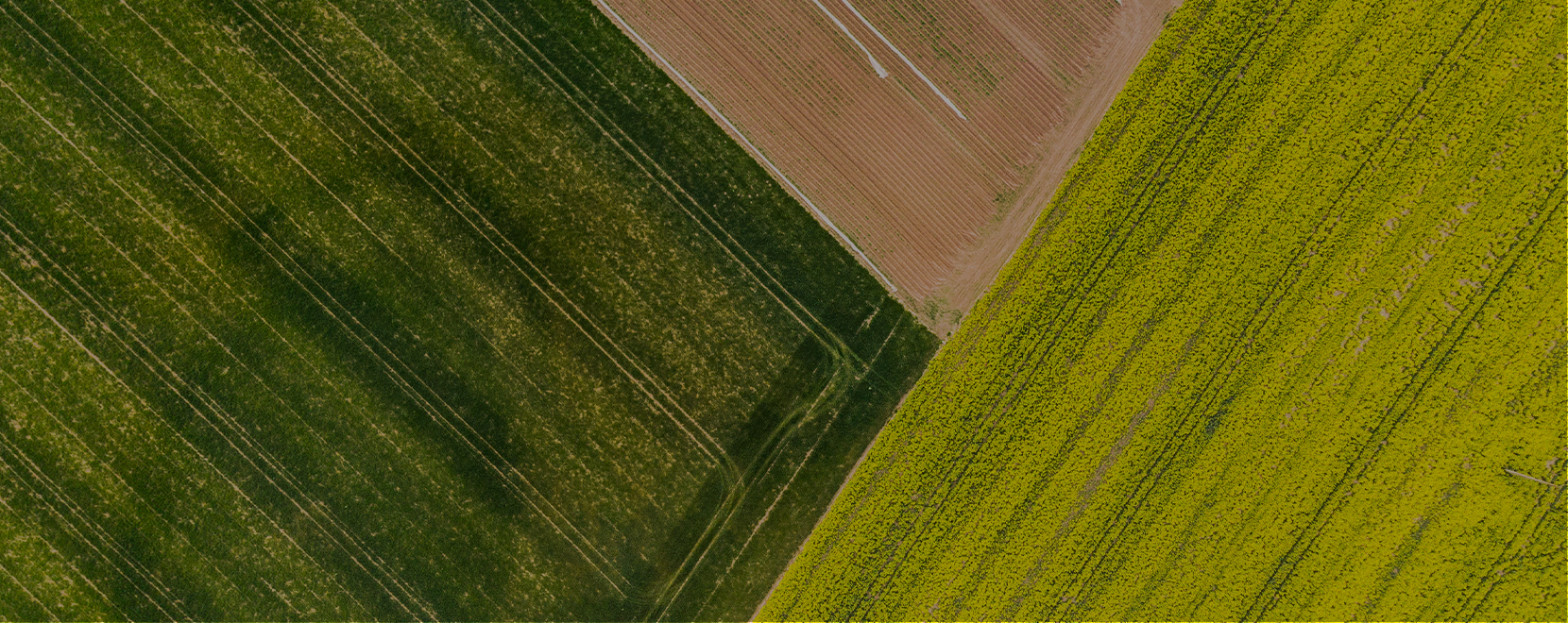 Aerial Green Fields Triangles banner