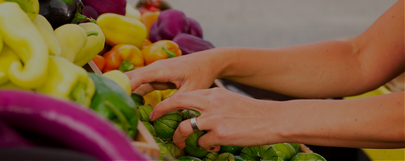 farmers market hands banner