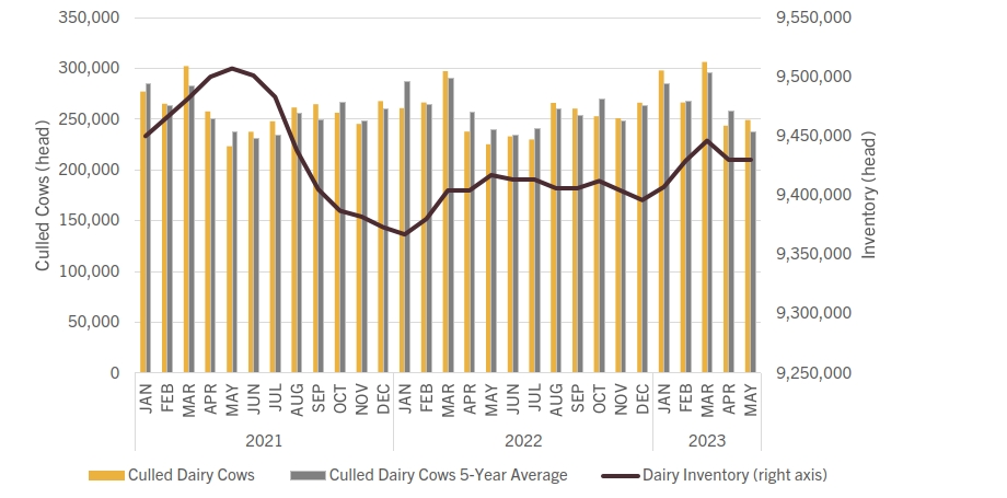 Culled cows and dairy cow inventory Line Graph