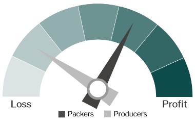 Apples 12 Month Profitability Outlook