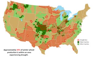 Winter Wheat areas in drought January 16 2024