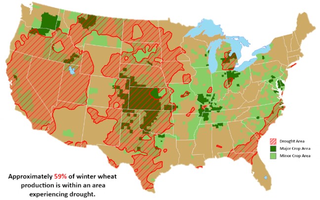 Winter Wheat areas in drought January 17 2023