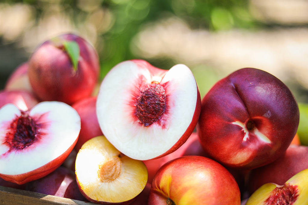 Sliced Nectarine