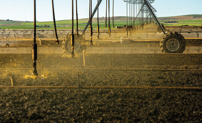 green water being sprayed into worm farm