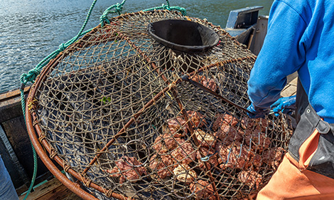 How a gear lending program is helping the fishing industry and